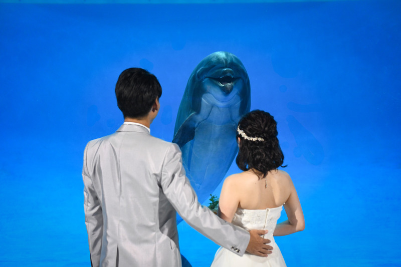 神父さんはイルカさん?