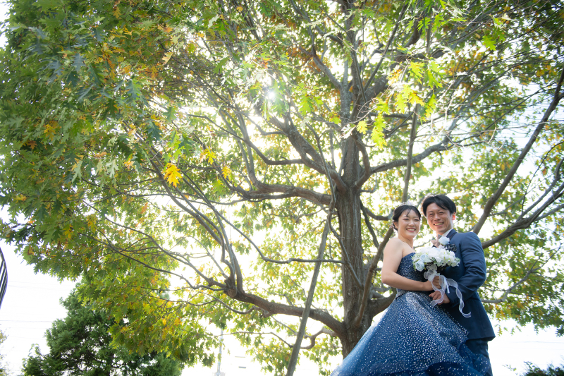 緑に包まれた穏やかな時間