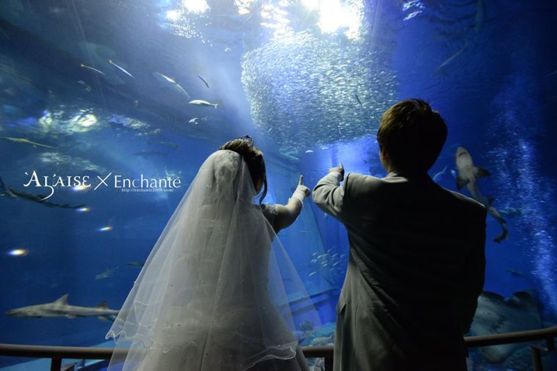 《幻想的な青が魅力的!!!》