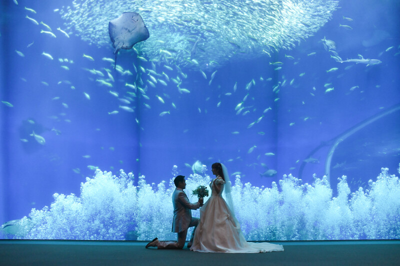 バブルの中でプロポーズ再現