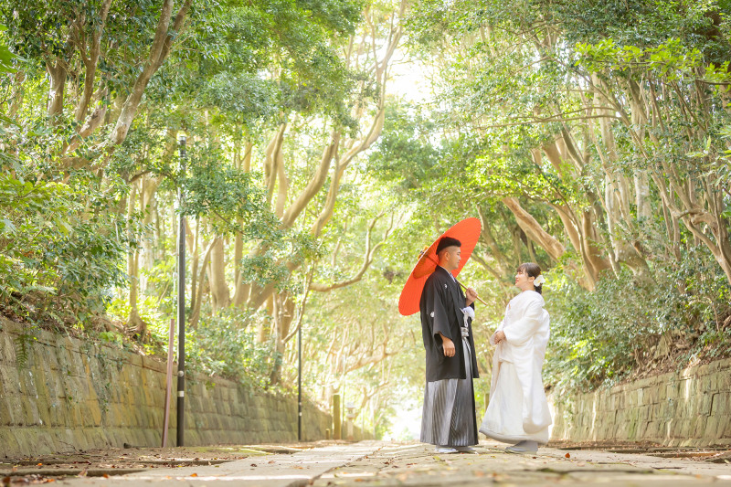 木漏れ日に照らされて