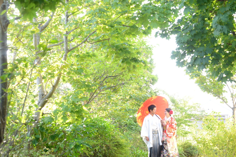 こんなに広い写真も。