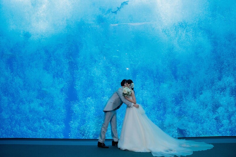 泡の中で愛を誓う