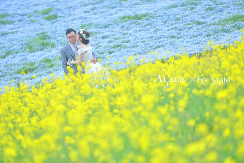 BLUE×YELLOW(ネモフィラ×菜の花)