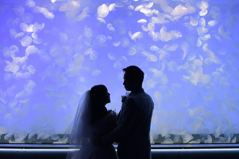 クラゲが光る幻想空間