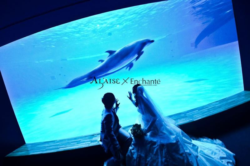 《大人気!!水族館ロケーションフォトウェディング》