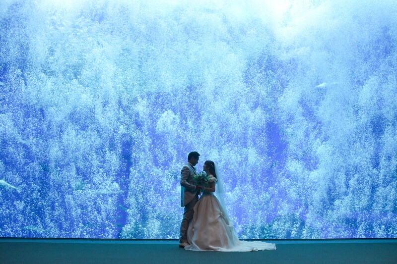 和装・カラードレス・ウェディングドレス!3着欲張りスタジオ&ロケウェディング♡