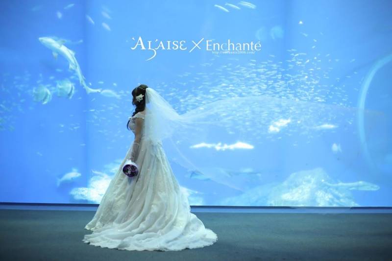 《ロングヴェールもバッチリ最適!!》