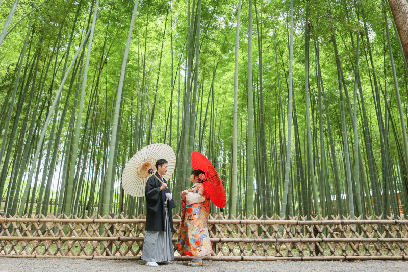立派な竹林!