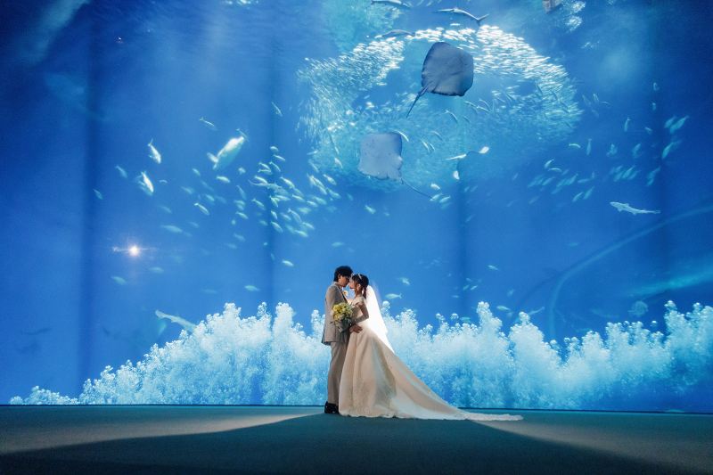 煌めくバブルシャワー