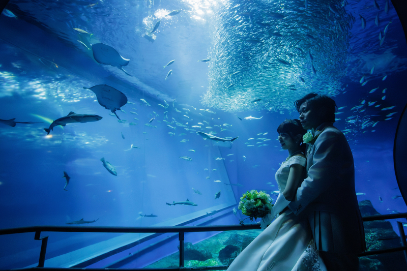 水槽の前で幻想的に