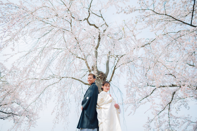 アンシャンテ ひたちなか本店