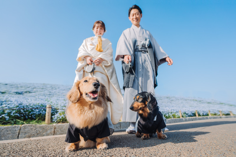 アンシャンテ ひたちなか本店_ペットと一緒に撮影できる