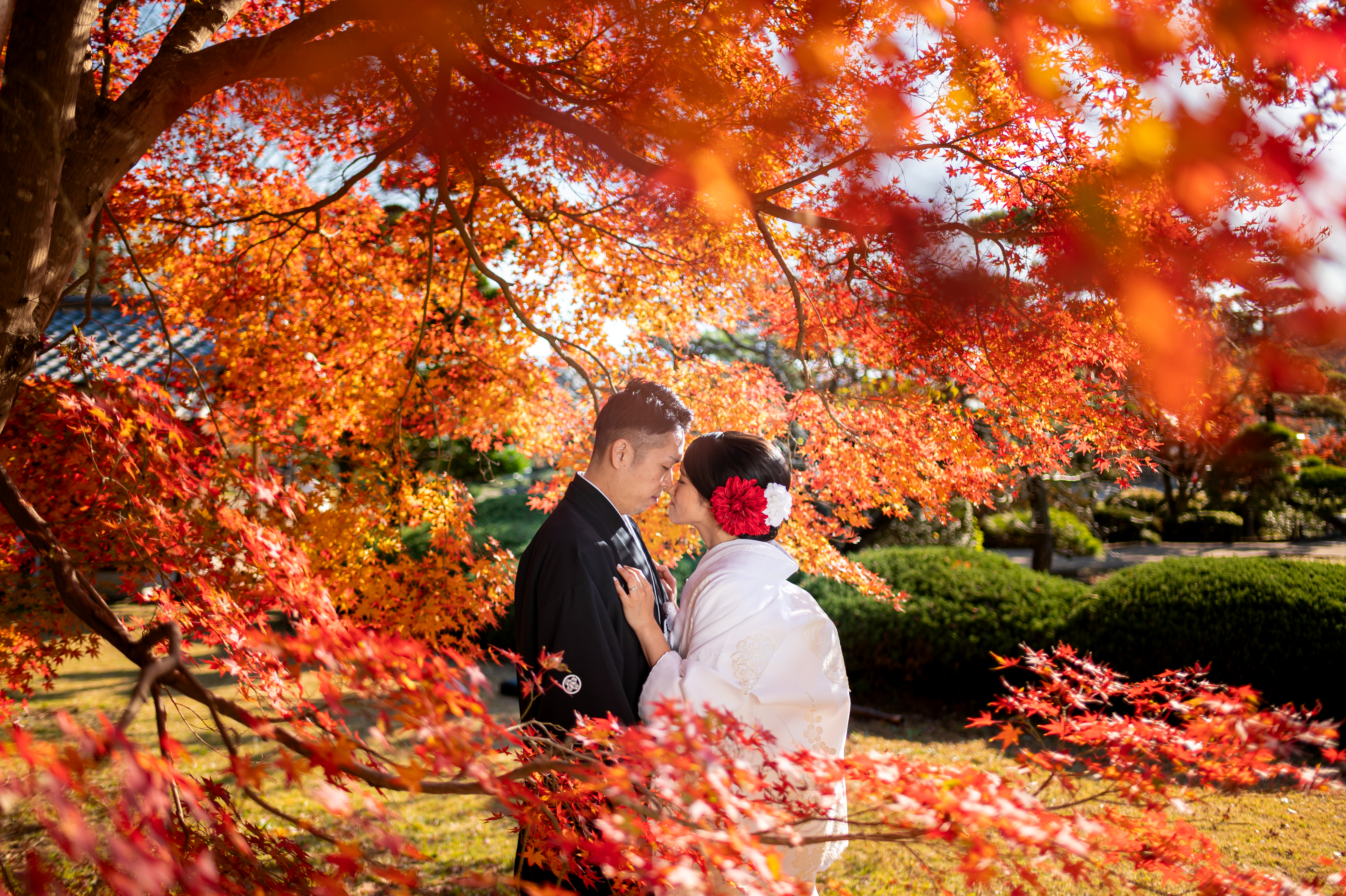 20以上ある撮影シーン