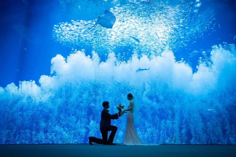 20以上ある撮影シーン