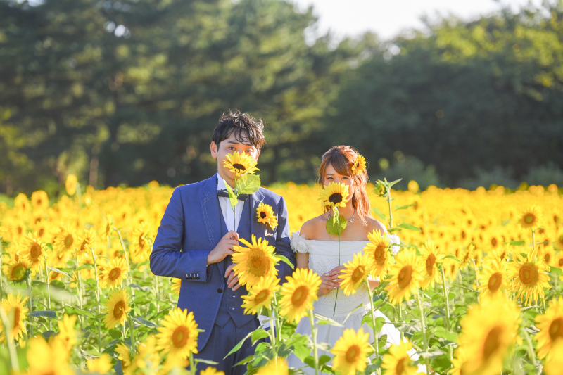 20以上ある撮影シーン
