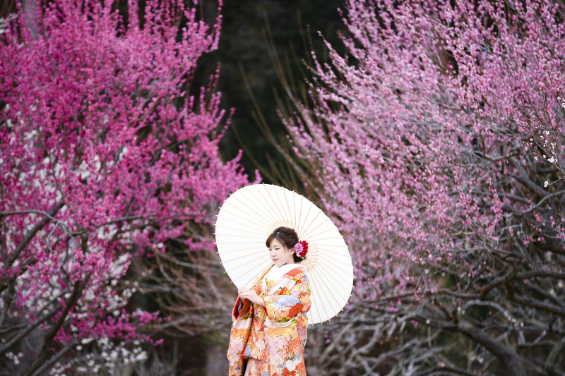 アンシャンテ ひたちなか本店_事前来店なしで撮影できる