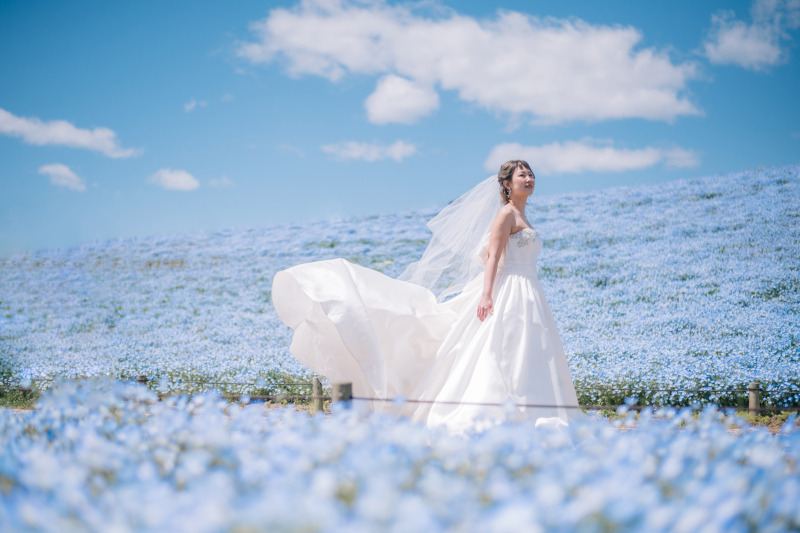 アンシャンテ ひたちなか本店_ネモフィラ【国営ひたち海浜公園】