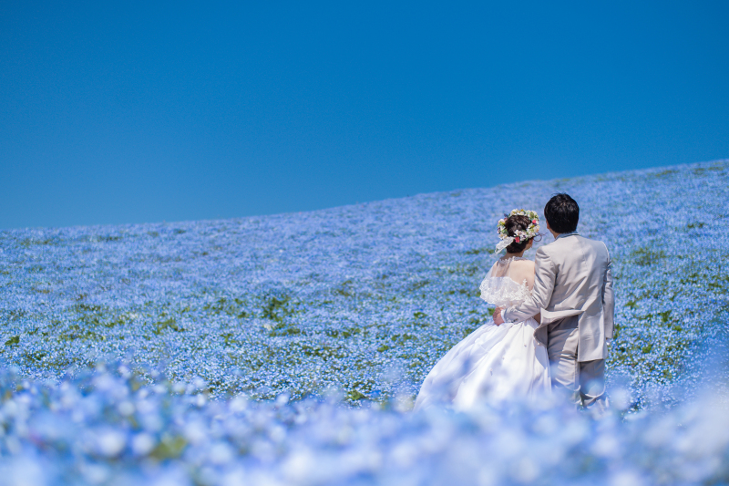 アンシャンテ ひたちなか本店_ネモフィラ【国営ひたち海浜公園】