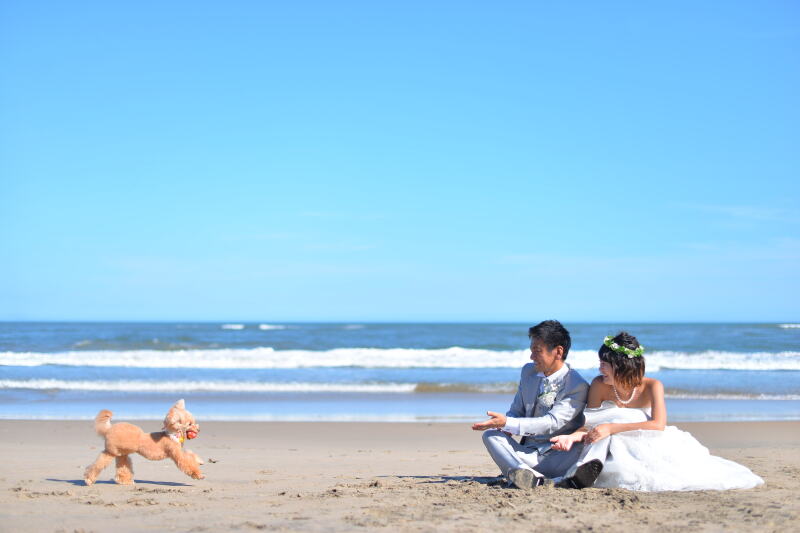 【ペットと一緒に記念日を】ペットフレンドリーフォトプラン