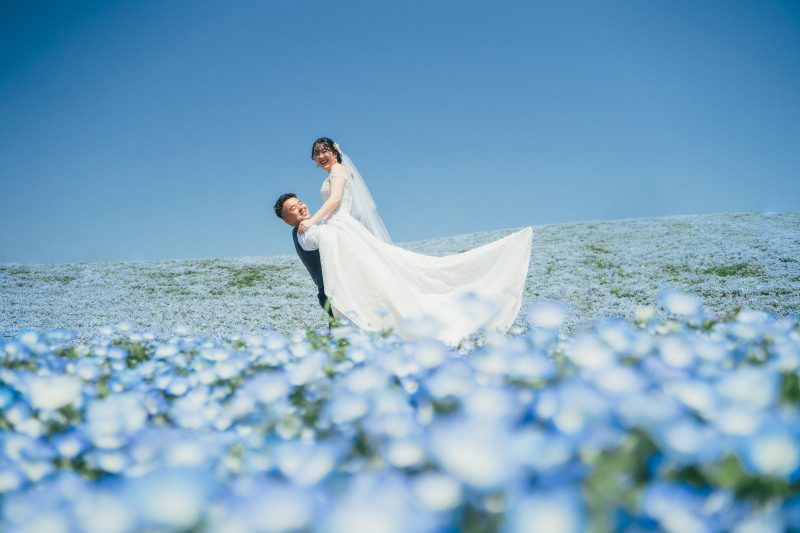 【2026年早割⭐️先行予約】青と蒼のネモフィラフォト☆シンプルプラン！