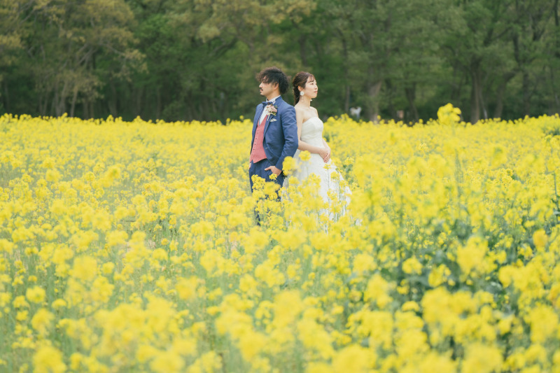 【2026年早割⭐️先行予約】青と蒼のネモフィラフォト☆シンプルプラン！