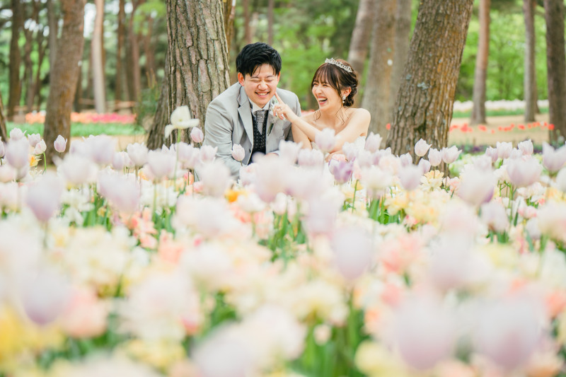 【2026年早割⭐️先行予約】青と蒼のネモフィラフォト☆シンプルプラン！