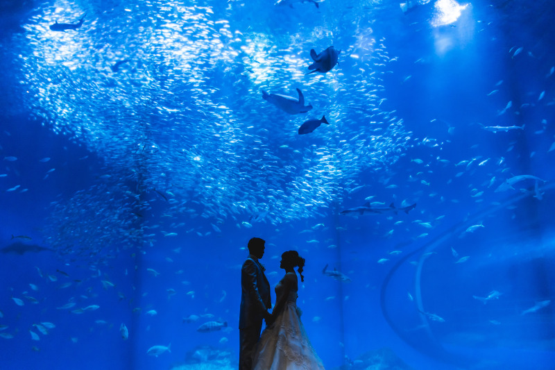 【大洗水族館で撮影!】フォトウェディング〜ユニークベニュー〜