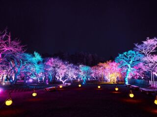 【2月限定の特別先行優待プラン】挙式に間に合う！梅香る春の訪れ、偕楽園ロケーション前撮り☆