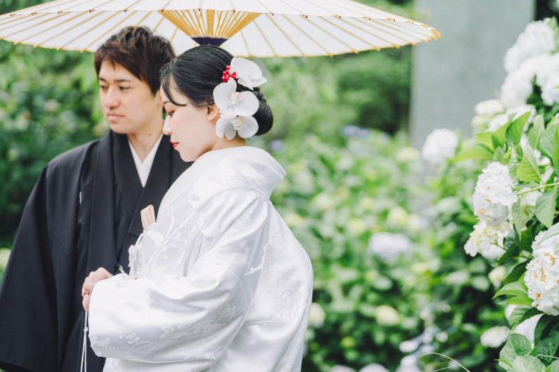 紫陽花