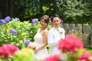 あじさいロケ☆彡