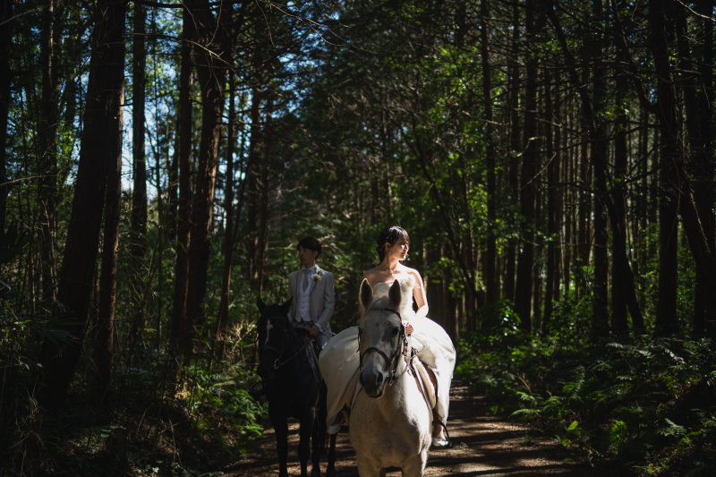 お馬さんとフォトウェディング