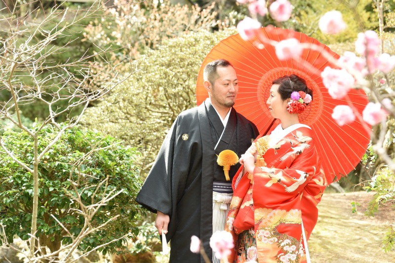 梅&番傘