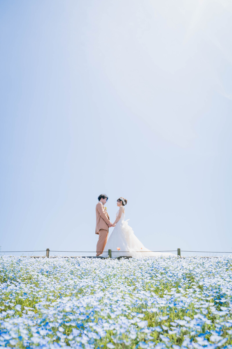 やわらかなまなざし