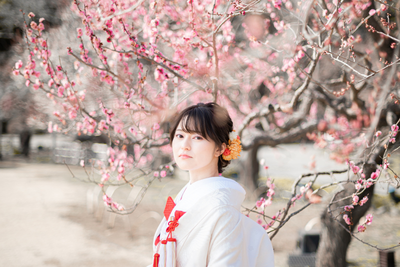 綺麗ですねええええ
