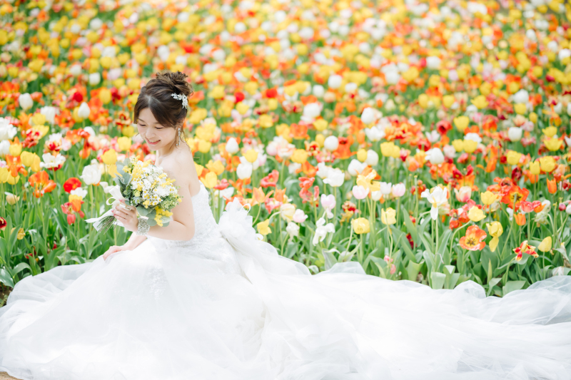 黄色のチューリップも