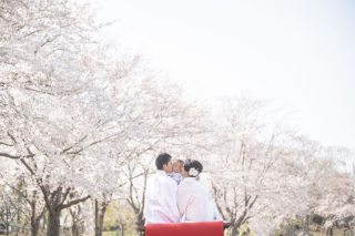 桜ロケーション