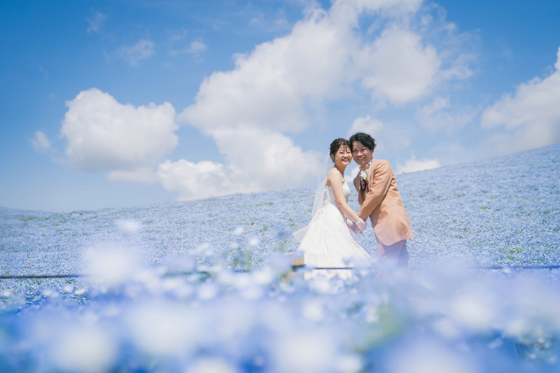 ネモフィラブルー