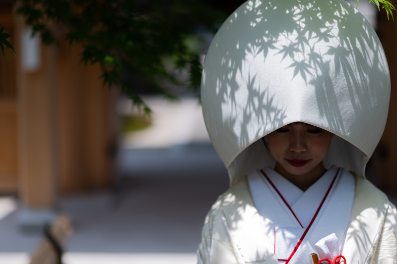 綿帽子に...