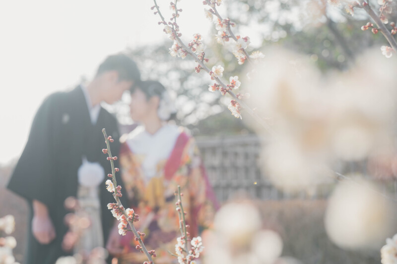 陽が落ちてきました