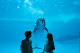 海に祝福されるフォトウェディング