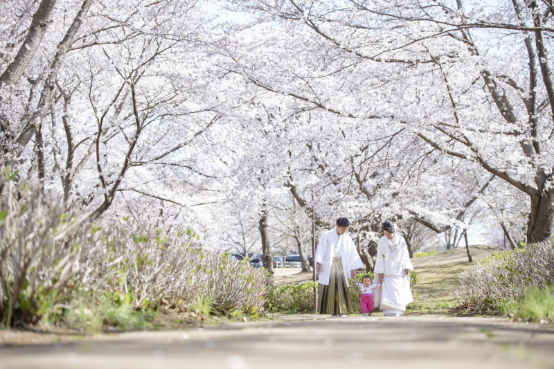 辺り一面桜!!