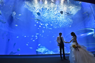 水族館ロケーション