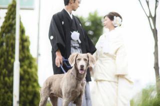 愛犬との撮影も!!