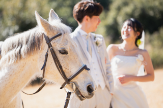いつもとは違う特別なお写真を