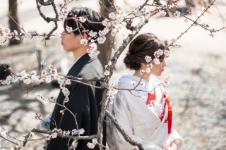 梅が来るぞおおおお！