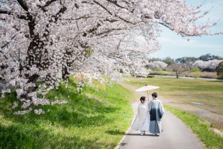 日本の四季【桜とロケーション撮影】
