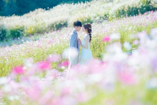 ふんわり可愛い秋の花畑