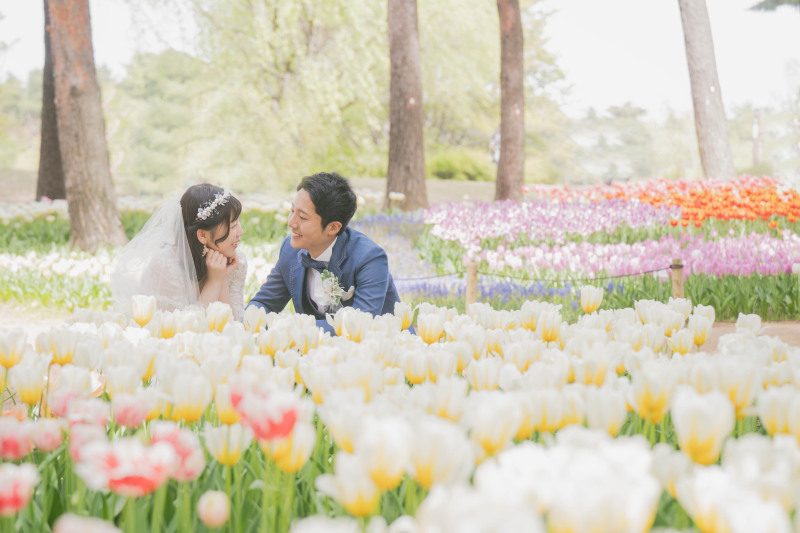 彩りあふれる祝福