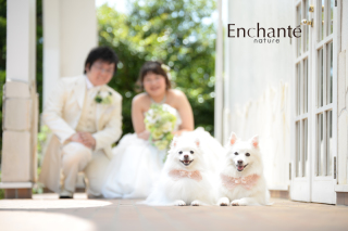 ワンちゃんと一緒に☆